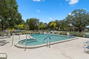 3137 Mission Grove Dr, Palm Harbor, FL 34684 - Photo 28