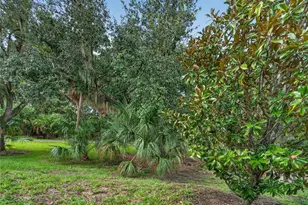 428 Seneca Falls Dr, Apollo Beach, FL 33572 - Photo 28