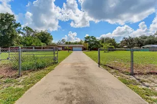 10744 Osceola Dr, New Port Richey, FL 34654 - Photo 4