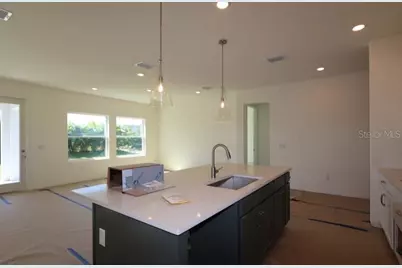 5169 Sea Branch Avenue, Apollo Beach, FL 33572 - Photo 8