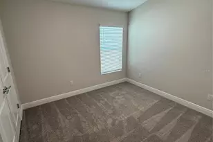 9924 Annunciation Dr, Wesley Chapel, FL 33545 - Photo 18