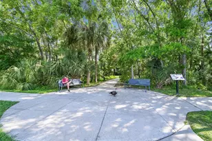 5036 Cypress Trace Dr, Tampa, FL 33624 - Photo 32