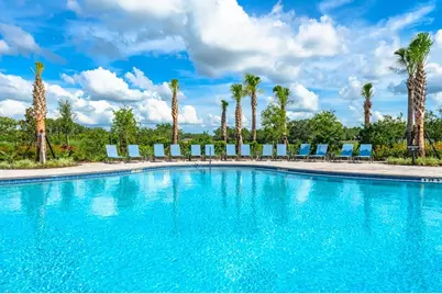 12206 Wispy Cloud Way, Hudson, FL 34669 - Photo 26