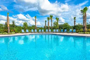 12206 Wispy Cloud Way, Hudson, FL 34669 - Photo 26