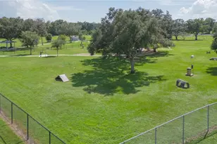 719 Vineyard Reserve Ct, Seffner, FL 33584 - Photo 40