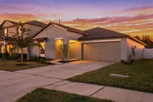 10358 Shady Preserve Dr, Riverview, FL 33578 - Photo 1
