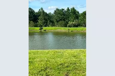 17973 Dairy Farm Court, Land O Lakes, FL 34638 - Photo 2