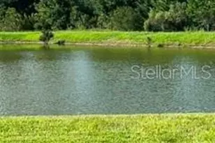 17973 Dairy Farm Ct, Land O Lakes, FL 34638 - Photo 2