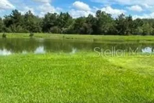 17973 Dairy Farm Ct, Land O Lakes, FL 34638 - Photo 34