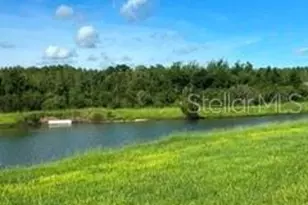 17973 Dairy Farm Ct, Land O Lakes, FL 34638 - Photo 32