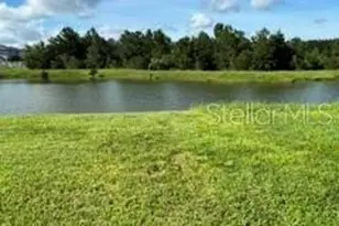 17973 Dairy Farm Ct, Land O Lakes, FL 34638 - Photo 6