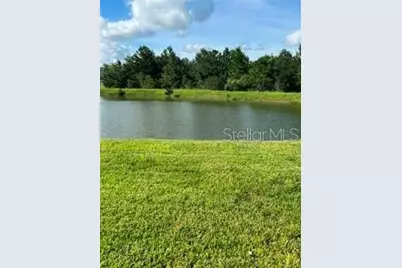 17973 Dairy Farm Court, Land O Lakes, FL 34638 - Photo 32