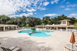 25427 7 Rivers Cir, Land O Lakes, FL 34639 - Photo 92