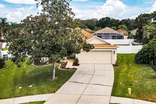 25427 7 Rivers Cir, Land O Lakes, FL 34639 - Photo 76