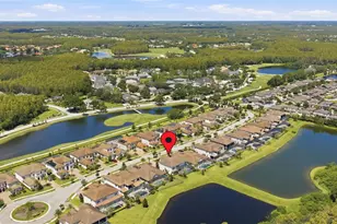 18615 Rue Beauvais, Lutz, FL 33558 - Photo 74