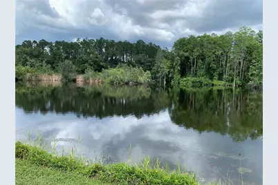 21107 2nd St, Land O Lakes, FL 34638 - Photo 2