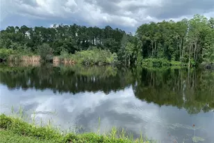 21107 2nd St, Land O Lakes, FL 34638 - Photo 2