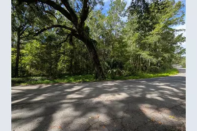 0 Wildwood Drive, Brooksville, FL 34601 - Photo 2