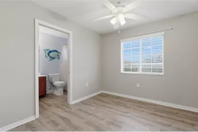 20456 Needletree Drive, Tampa, FL 33647 - Photo 14