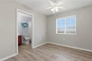 20456 Needletree Dr, Tampa, FL 33647 - Photo 14