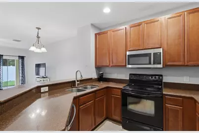 20456 Needletree Drive, Tampa, FL 33647 - Photo 24