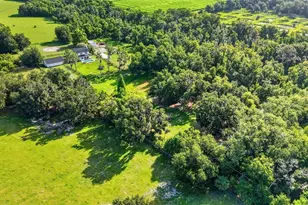 8922 Pritcher Rd, Lithia, FL 33547 - Photo 54