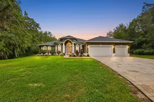16547 Crossandra Ln, Spring Hill, FL 34610 - Photo 2