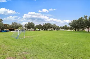 17527 Bright Wheat Dr, Lithia, FL 33547 - Photo 46