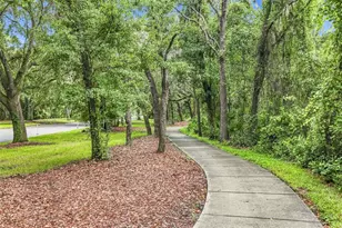 6104 Parkset Dr, Lithia, FL 33547 - Photo 56