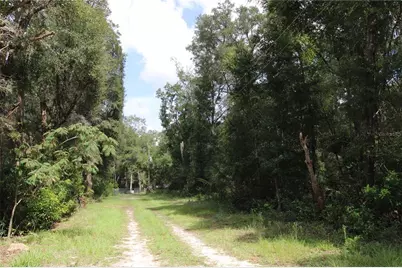 9599 NW 56th Lane, Chiefland, FL 32626 - Photo 24