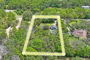 10447 Granning Ln, New Port Richey, FL 34654 - Photo 60