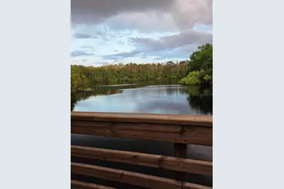 16503 Foothill Drive, Tampa, FL 33624 - Photo 36