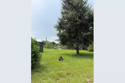 16503 Foothill Drive, Tampa, FL 33624 - Photo 34
