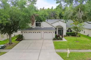 10217 Timberland Point Dr, Tampa, FL 33647 - Photo 1