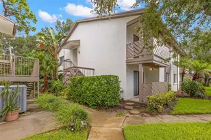 631 Fairmont Ave, Safety Harbor, FL 34695 - Photo 1