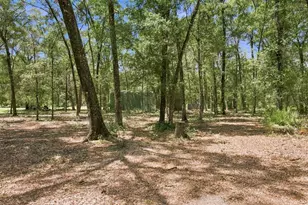 3624 S Susan Point, Inverness, FL 34452 - Photo 44