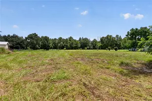 13831 Carter Island Rd, Groveland, FL 34736 - Photo 10