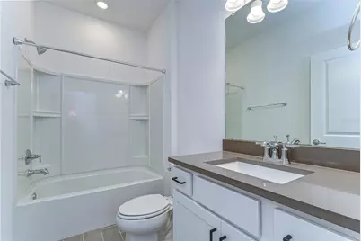 17751 Everlong Drive, Land O Lakes, FL 34638 - Photo 6