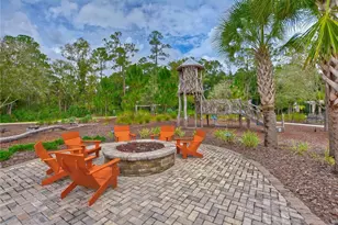 17751 Everlong Dr, Land O Lakes, FL 34638 - Photo 42