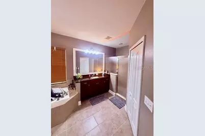 4346 Waterville Avenue, Wesley Chapel, FL 33543 - Photo 16