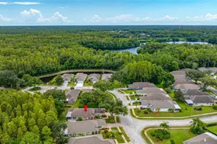 1044 Daleside Ln, New Port Richey, FL 34655 - Photo 42