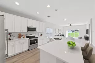 11908 Fern Blossom Dr, Gibsonton, FL 33534 - Photo 4