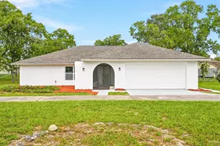 1118 Trinidad Ave, Spring Hill, FL 34609 - Photo 1