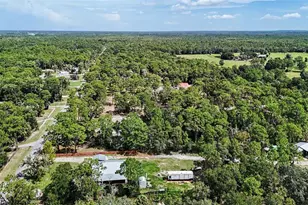 1393 S Candlenut Ave, Homosassa, FL 34448 - Photo 1