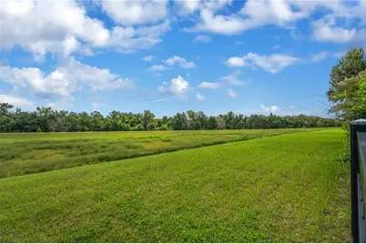 5830 Watercolor Drive, Lithia, FL 33547 - Photo 42