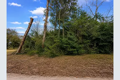 20710 Stewart Road, Dade City, FL 33523 - Photo 6