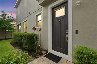 3207 Painted Blossom Ct, Lutz, FL 33558 - Photo 4