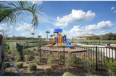 34347 Sorrel Mint Drive, Wesley Chapel, FL 33543 - Photo 32