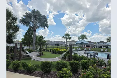 20865 Drake Elm Drive, Land O Lakes, FL 34638 - Photo 42