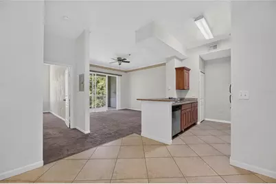 17108 Carrington Park Drive #724, Tampa, FL 33647 - Photo 6